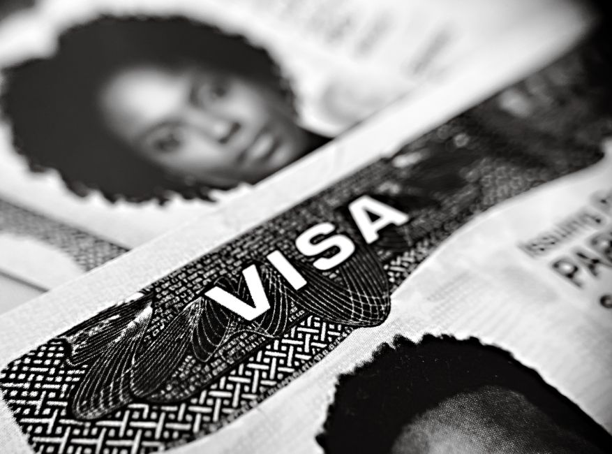 Can My Parent Apply for an 864 or 804 Visa With Condition 8503?