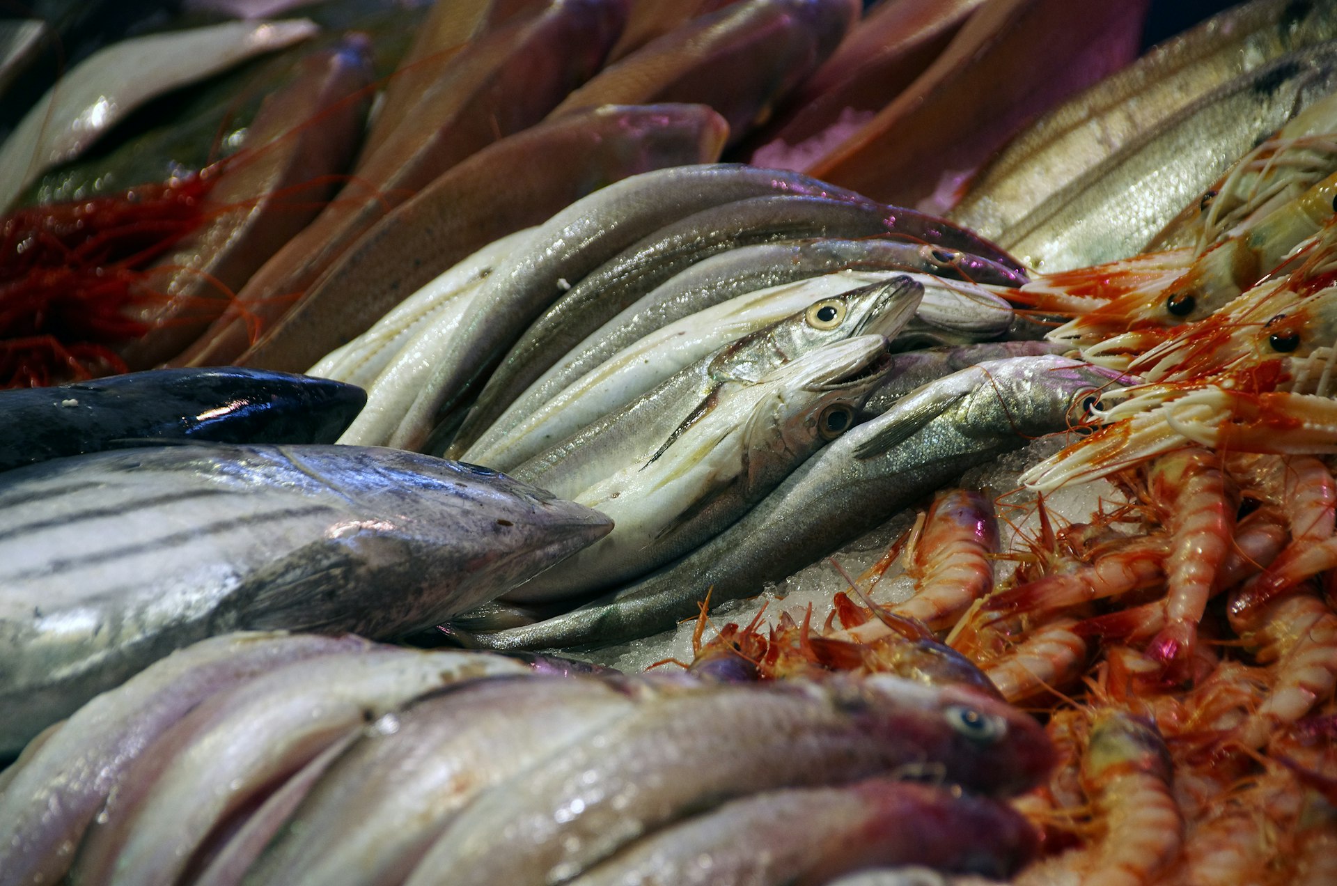 Navigating the Wave: Sustainable Seafood Consumption Trends and How to Access Eco-Friendly Choices in 2025