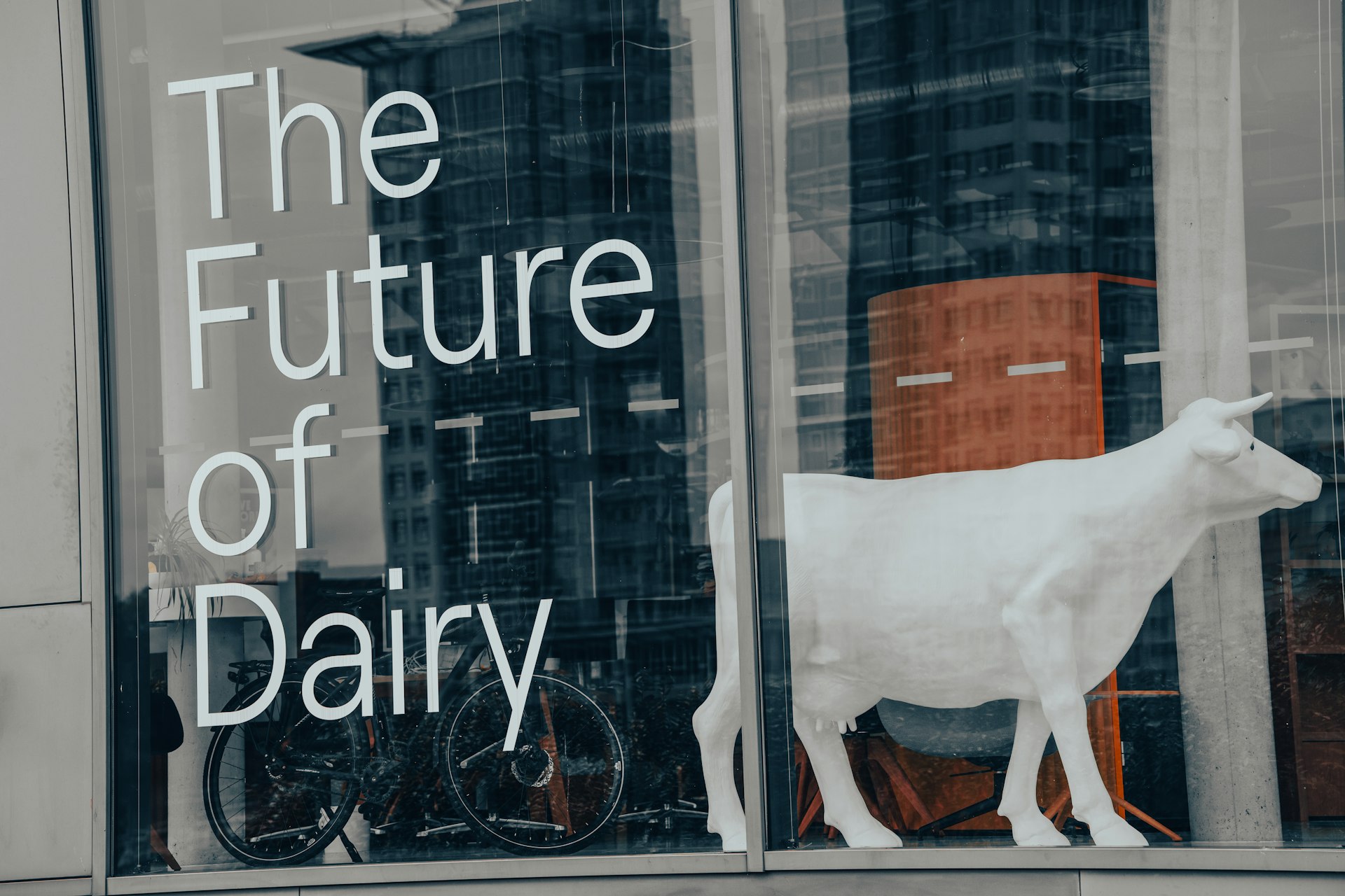 Discovering Plant-Based Dairy Alternatives: Health, Taste, and How to Get Started